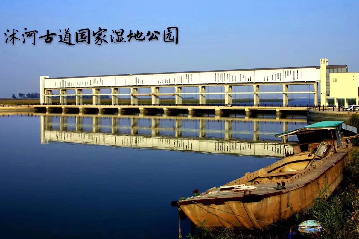 码头