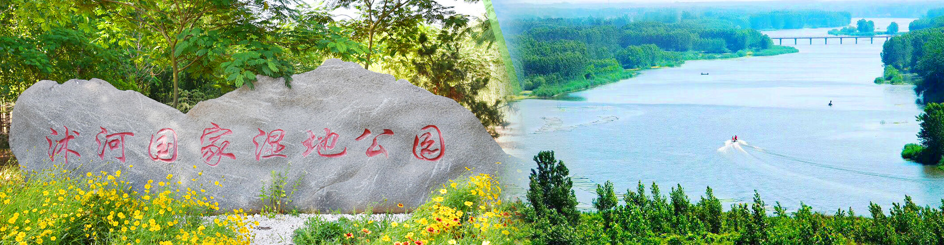 沭河古道