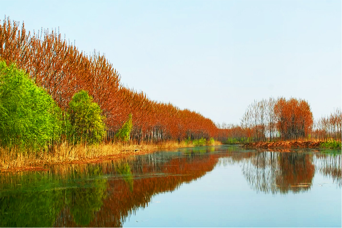 湿地公园
